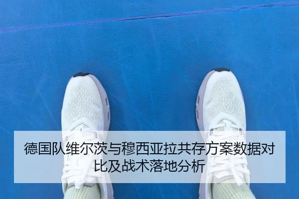 德国队维尔茨与穆西亚拉共存方案数据对比及战术落地分析